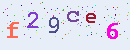 Imatge de seguretat