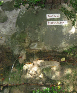 Font de la Pomareda
