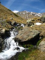 Consultar Puigmal des del Collet de les Barraques